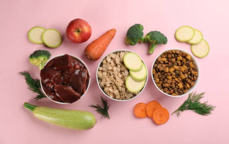 Nutrição