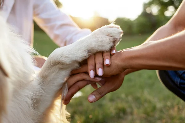reiki